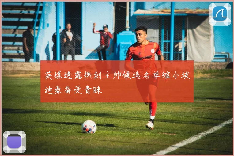 英媒透露热刺主帅候选名单缩小埃迪豪备受青睐