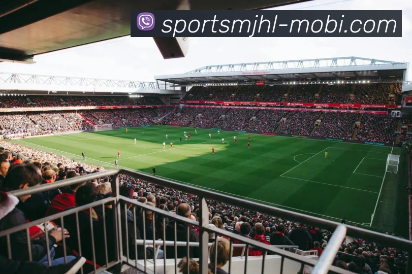 麻将胡了全站App